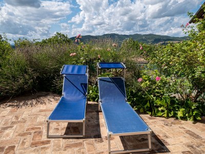 Holiday apartment Comfortable holiday apartment in an old farmhouse with pool - 429 ASS - Outdoor photo 8