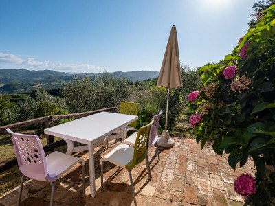 Holiday apartment Comfortable holiday apartment in an old farmhouse with pool - 429 ASS - Outdoor photo 9