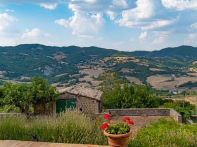 Holiday apartment Comfortable holiday apartment in an old farmhouse with pool - 429 ASS - Outdoor photo 12