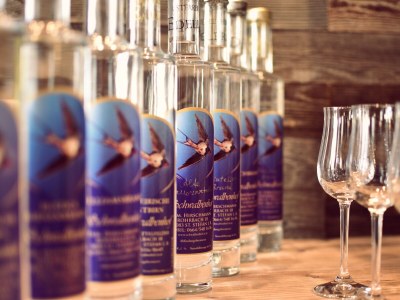 Holiday apartment Schwalbennest - Bauernhof Schwalbenhof - Outdoor photo 7