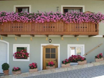 Holiday apartment Schwalbennest - Bauernhof Schwalbenhof - Features photo 11