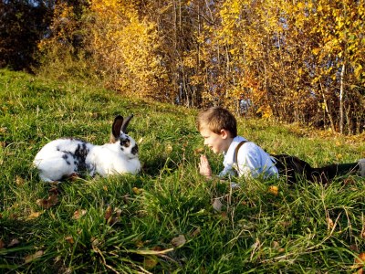 Holiday apartment Schwalbennest - Bauernhof Schwalbenhof - Environment photo 18