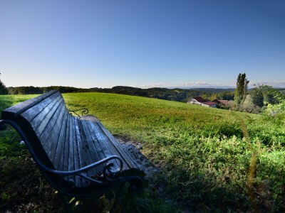 Holiday apartment Schwalbennest - Bauernhof Schwalbenhof - Environment photo 22