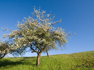 Holiday apartment Schwalbennest - Bauernhof Schwalbenhof - Environment photo 23