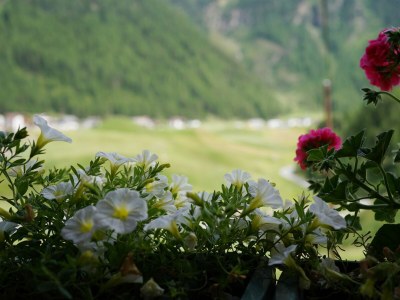 Holiday apartment Sonnenhof - Features photo 15