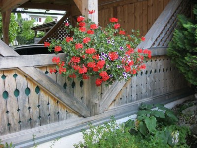 Holiday apartment Musler on the ground floor - Outdoor photo 10