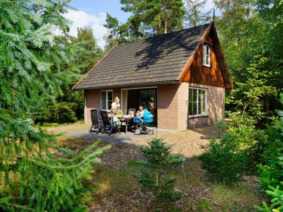 Holiday house Villapark Eureka Wellness in Deurningen - Holiday house