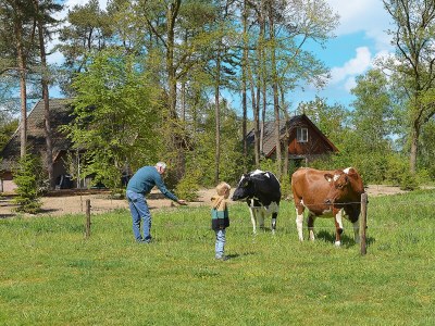 Holiday house Villapark Eureka Wellness - Outdoor photo 6