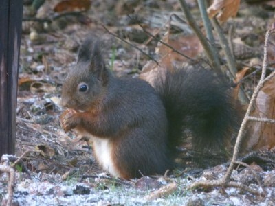Holiday house Villapark Eureka Wellness - Outdoor photo 8