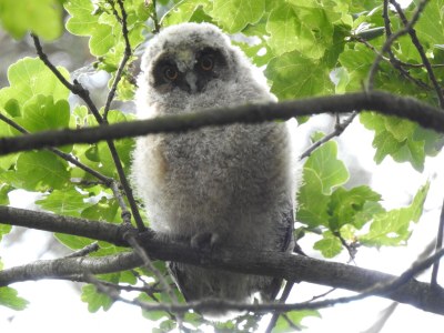 Holiday house Villapark Eureka Wellness - Outdoor photo 11