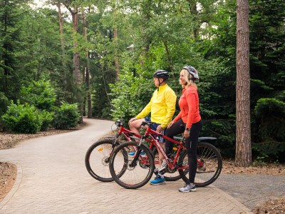 Holiday house Villapark Eureka Wellness - Outdoor photo 12