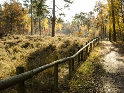 Holiday house Villapark Eureka Wellness - Environment photo 35