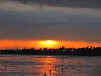 Holiday house am Maulbeerbaum - Environment photo 30