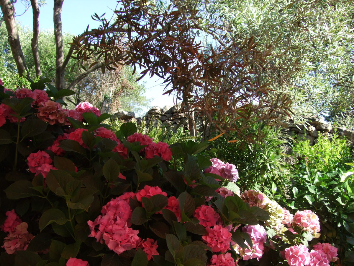 Holiday apartment Casa Felicita - Outdoor photo 5