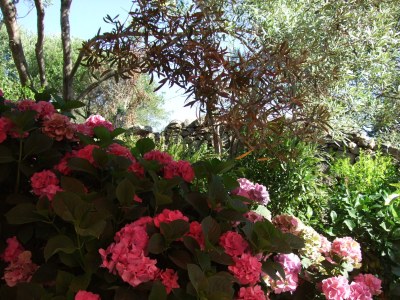 Holiday apartment Casa Felicita - Outdoor photo 5