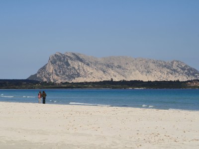 Holiday apartment Casa Felicita - Environment photo 26