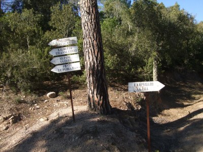 Holiday apartment Casa Felicita - Environment photo 28