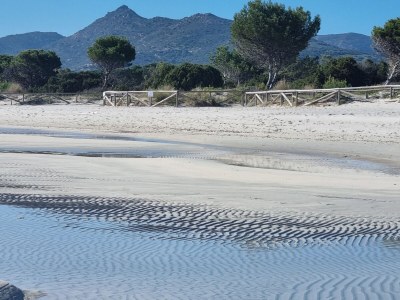 Holiday apartment Casa Felicita - Environment photo 39