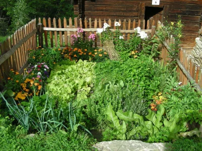 Alpine hut At the Grossglockner in a secluded location - Environment photo 10