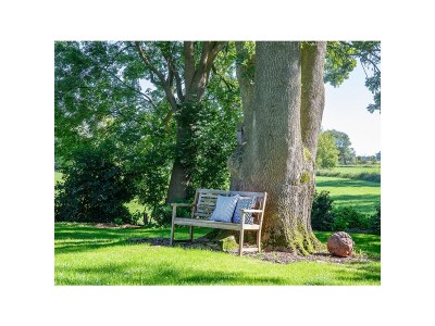 Holiday apartment - Krautsand - Vacation Apartment Nr. 3 - Outdoor photo 5