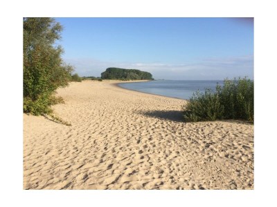 Holiday apartment - Krautsand - Vacation Apartment Nr. 3 - Environment photo 16