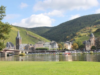 Holiday apartment Ferienwohnung " Mosel & Umzu " - Environment photo 18