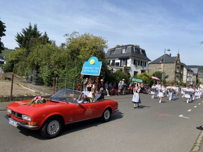 Holiday apartment Ferienwohnung " Mosel & Umzu " - Environment photo 23