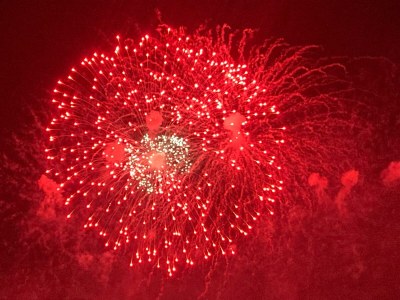 Holiday apartment Ferienwohnung " Mosel & Umzu " - Environment photo 24