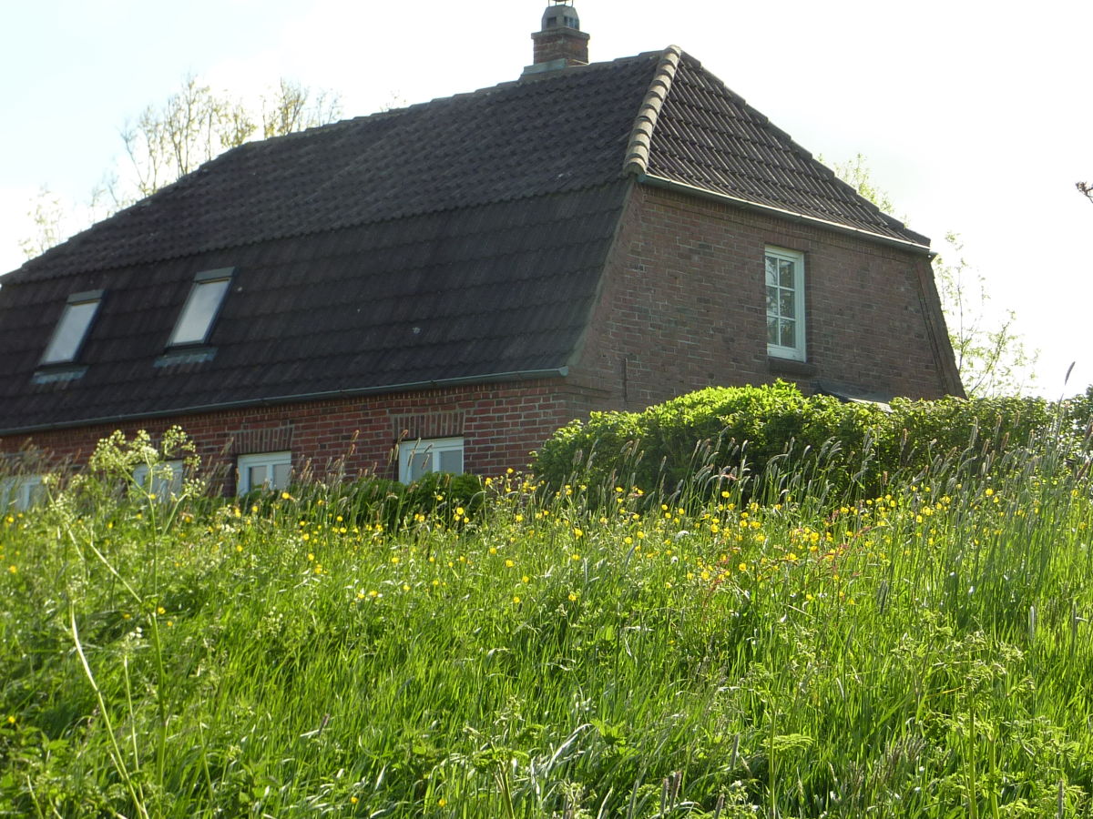 Holiday house Heini - Outdoor photo 2