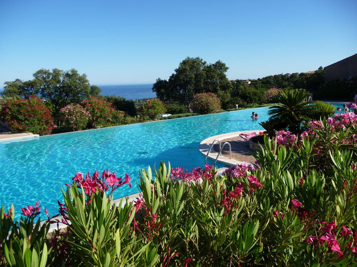 Holiday apartment Arbousiers