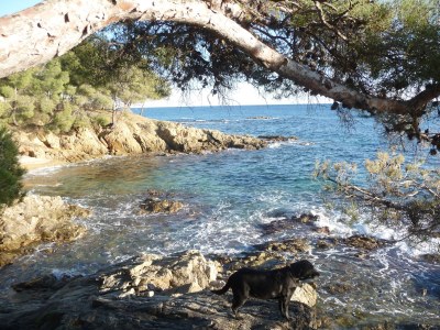 Holiday apartment Arbousiers - Environment photo 26