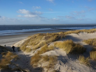 Holiday apartment Duynzoom - Environment photo 11