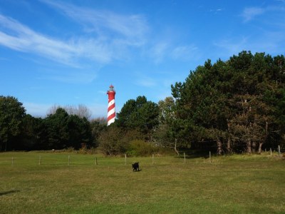 Holiday apartment Duynzoom - Environment photo 12