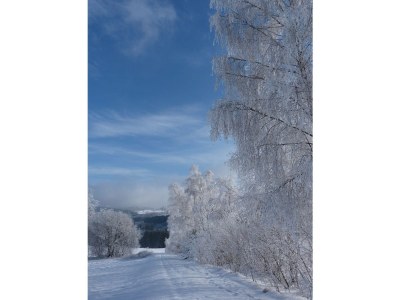 Holiday house Kreuzbergblick Bavarian Forest - Environment photo 15