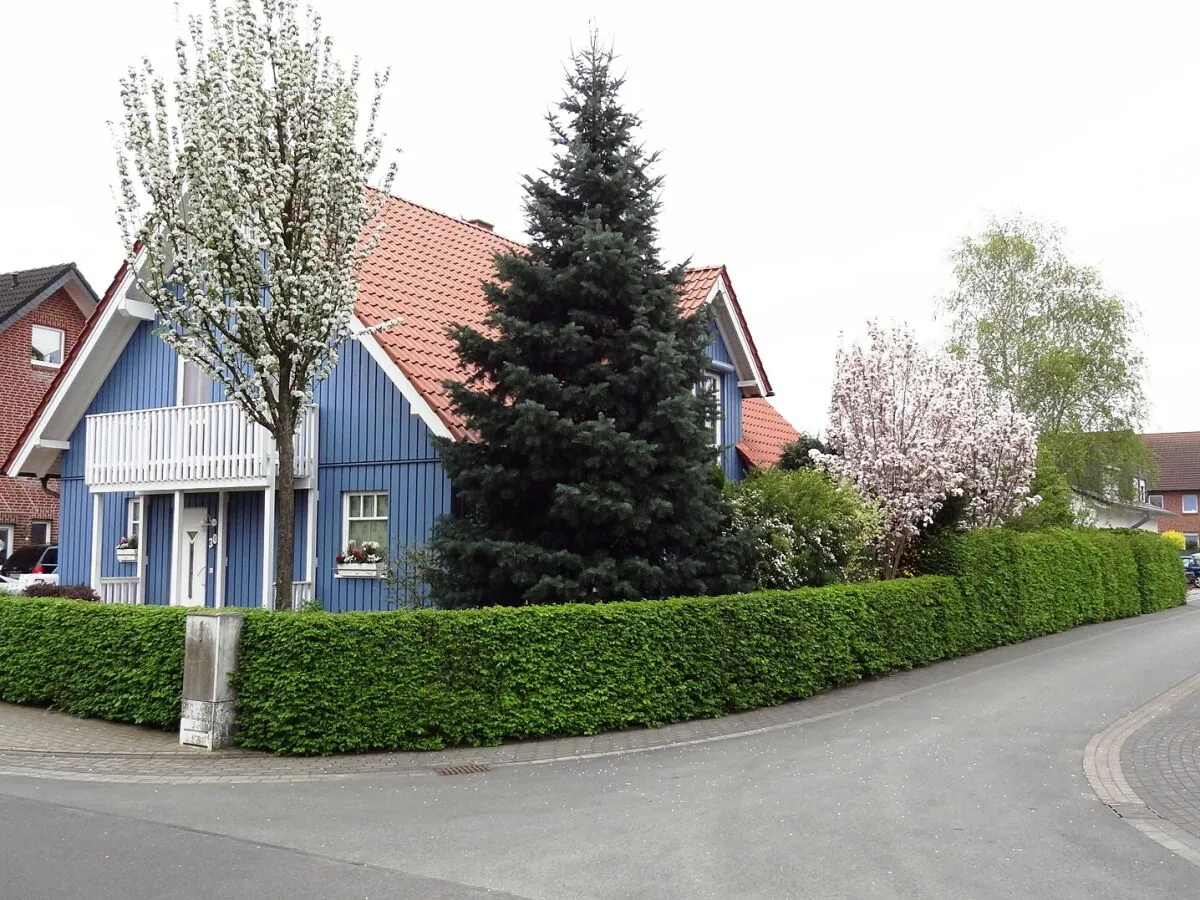 Holiday apartment Alleblas