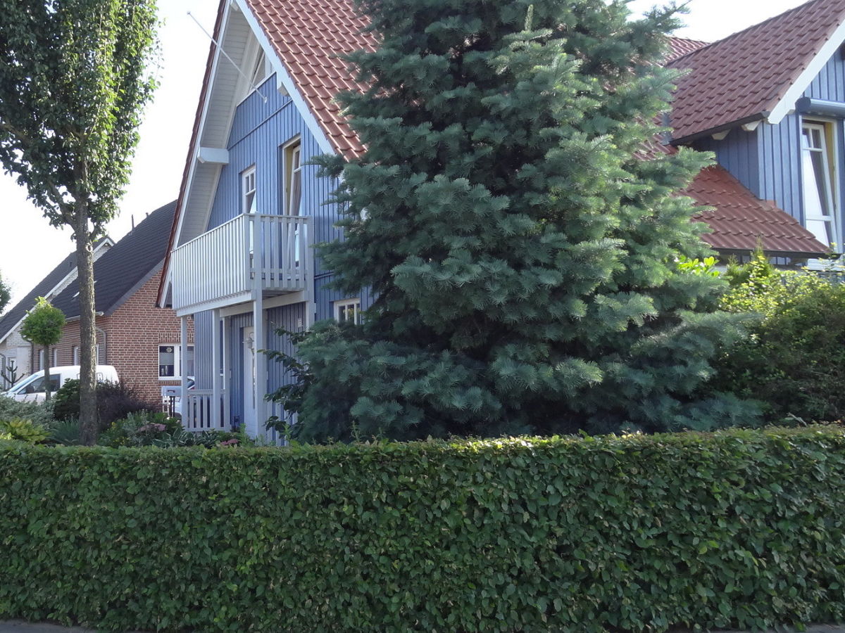 Holiday apartment Alleblas - Outdoor photo 5