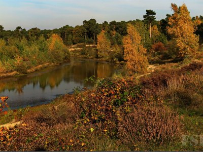 Holiday apartment Alleblas - Environment photo 25