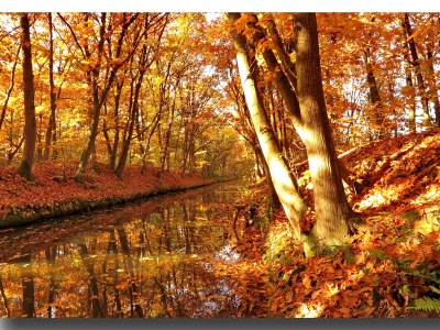 Holiday apartment Alleblas - Document photo 28