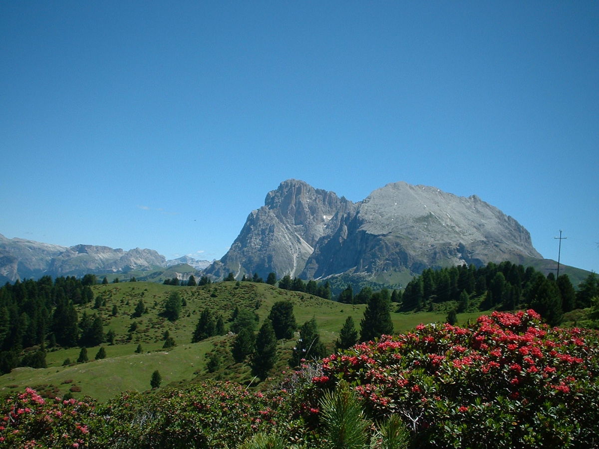 Holiday apartment Platzerhof - Outdoor photo 3