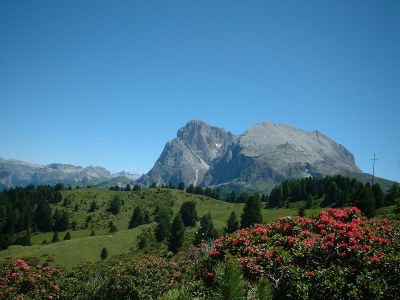Holiday apartment Platzerhof - Outdoor photo 3