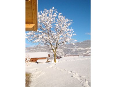 Holiday apartment Platzerhof - Outdoor photo 10