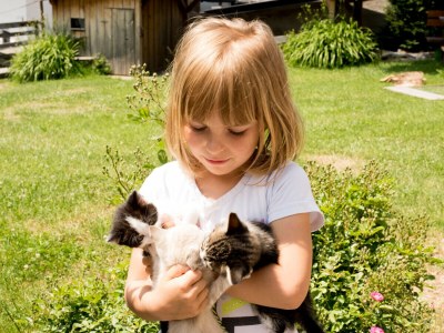 Holiday apartment Platzerhof - Environment photo 20