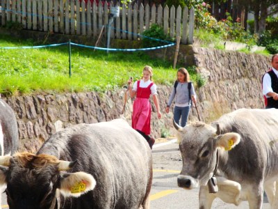 Holiday apartment Platzerhof - Environment photo 22