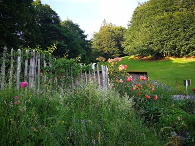 Holiday house Bregenzerwald holiday home - Outdoor photo 8