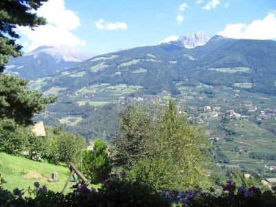 Holiday apartment Garni Sonnleiten - Outdoor photo 5