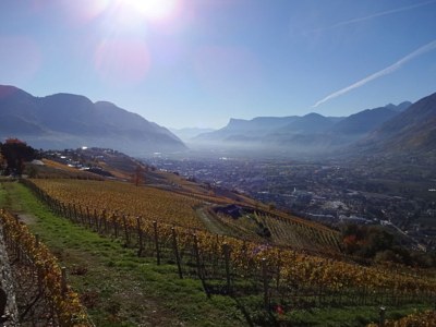 Holiday apartment Garni Sonnleiten - Environment photo 16