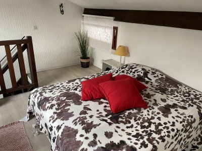 Holiday house Mas du Levant - Features photo 17