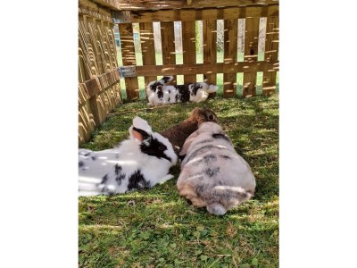 Holiday apartment "Elisabeth" in Mag House. - Outdoor photo 9