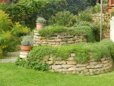 Holiday apartment "Elisabeth" in Mag House. - Outdoor photo 10