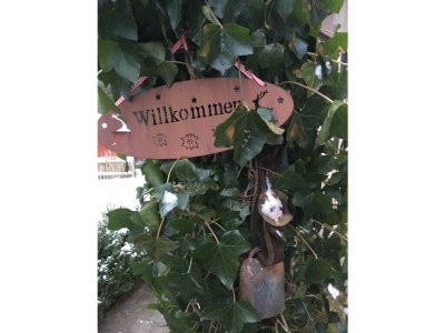 Holiday apartment "Elisabeth" in Mag House. - Outdoor photo 12